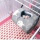 Soft Guinea Pig Bed Cage For Hamster Mini Animal Mice Rat Nest Bed Hamster House Small Pets Product