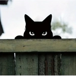 DDONKL 1pc Cat Sculpture Gifts Lawn Ornament Black Metal Peeping Cat Cats Yard Sculpture Iron Art Silhouette Garden Decoration