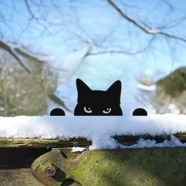 DDONKL 1pc Cat Sculpture Gifts Lawn Ornament Black Metal Peeping Cat Cats Yard Sculpture Iron Art Silhouette Garden Decoration