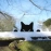 DDONKL 1pc Cat Sculpture Gifts Lawn Ornament Black Metal Peeping Cat Cats Yard Sculpture Iron Art Silhouette Garden Decoration